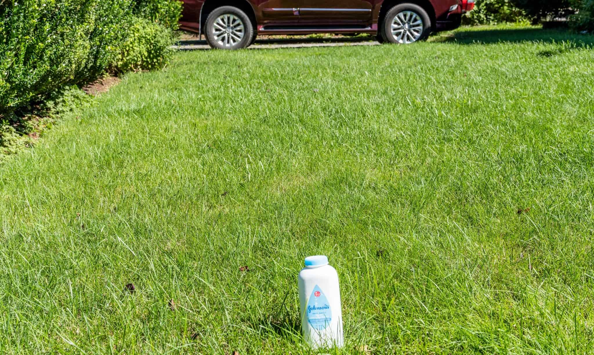 10 Alternative Ways To Use Baby Powder Country Diaries