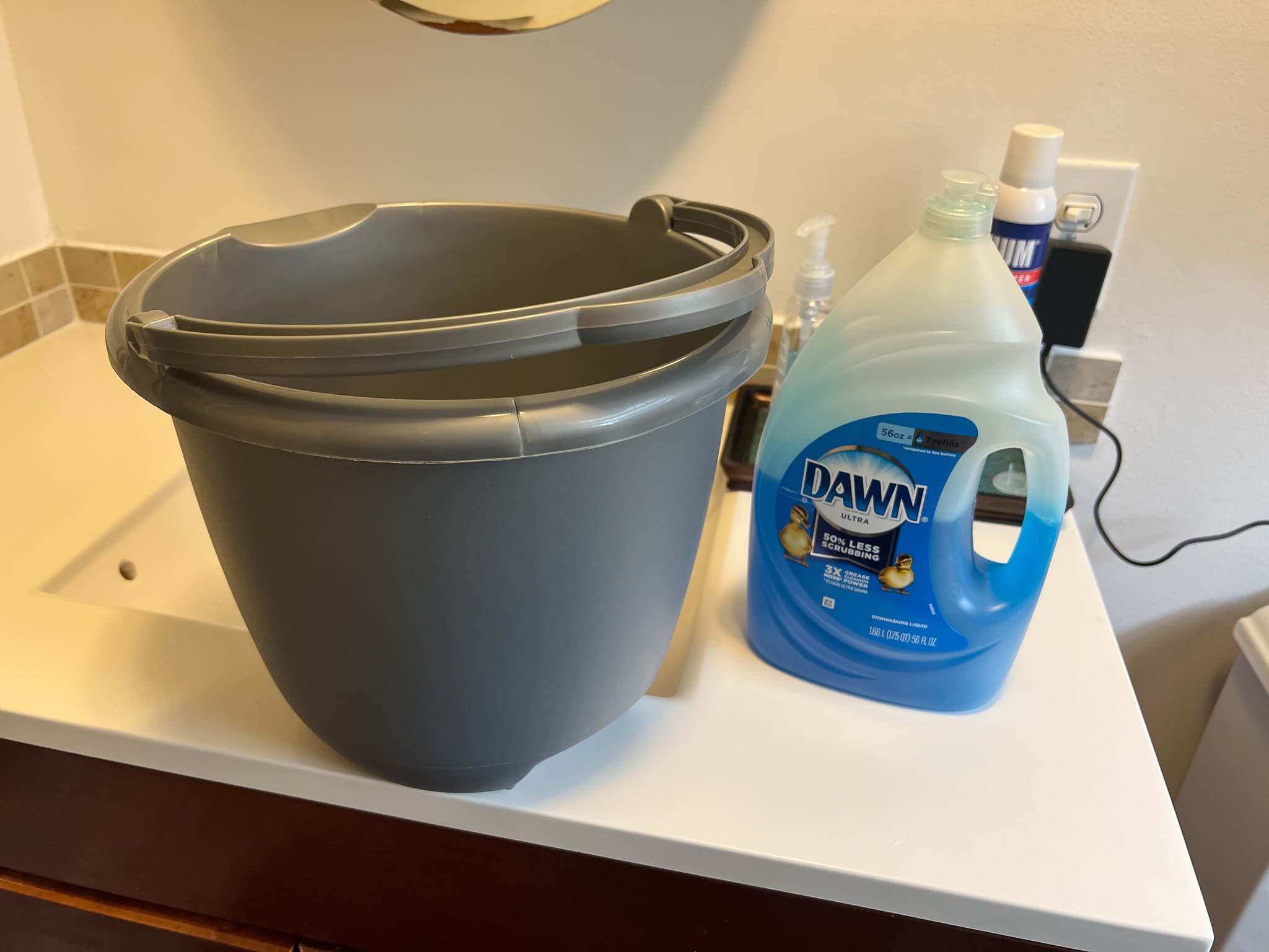 squeegee bucket and dawn dish soap