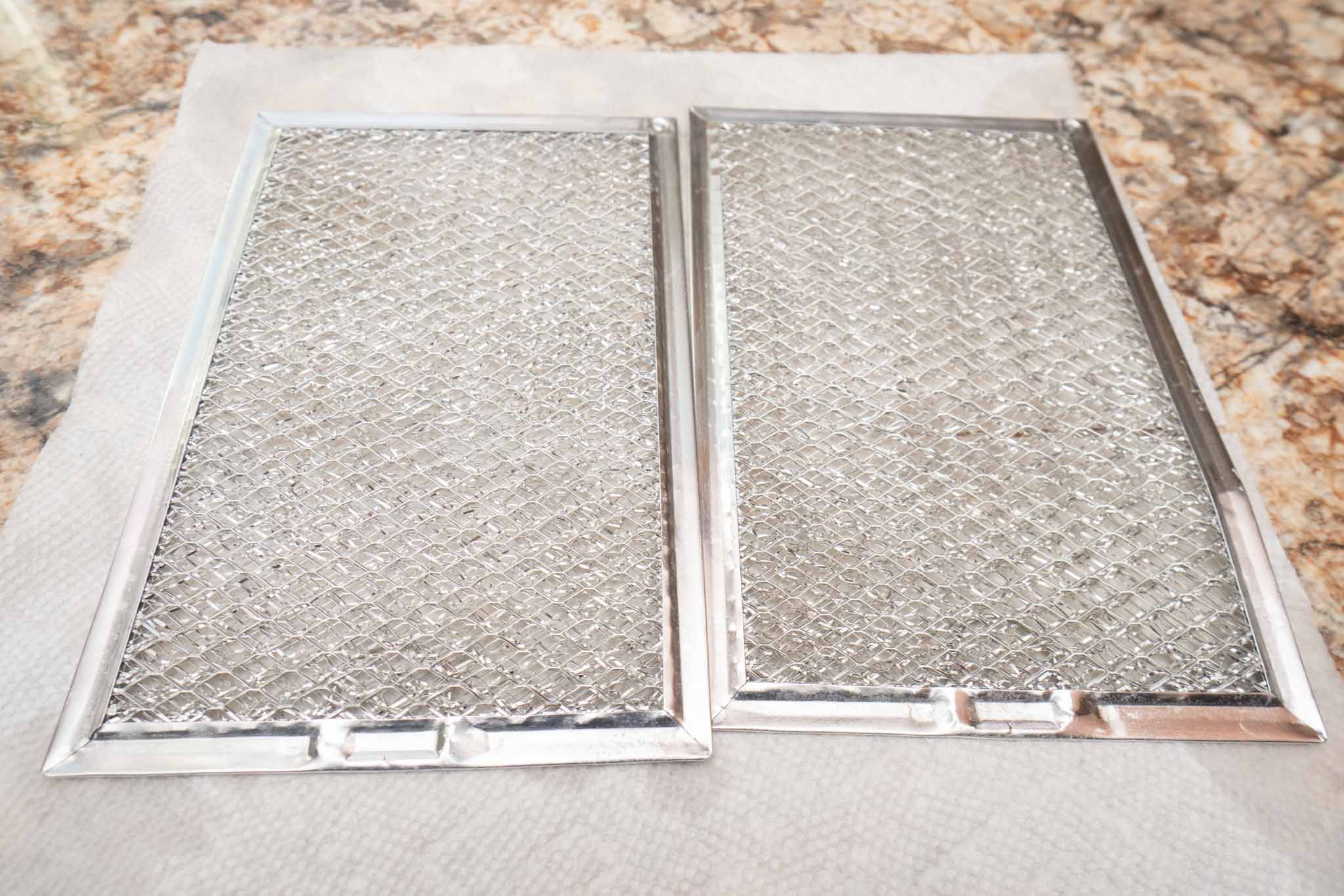 drying microwave mesh filters