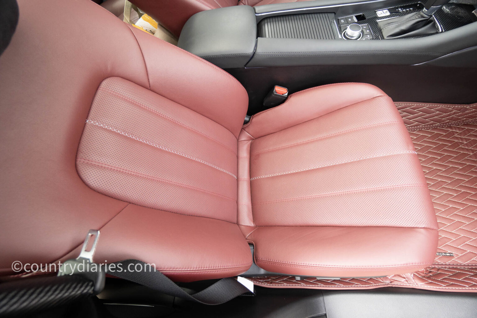 How To Get Pee Out Of Car Seat Leather Or Cloth Country Diaries
