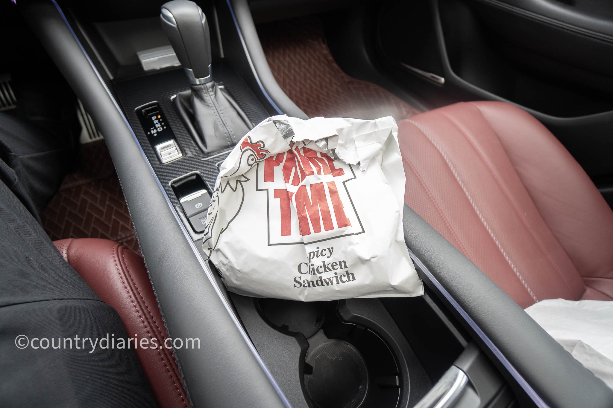 food on car center console