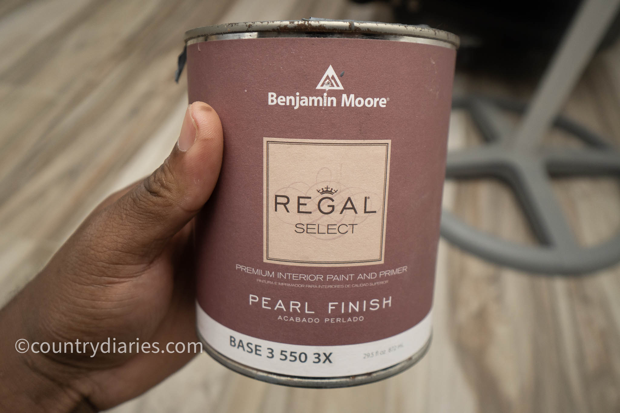 person holding regal select paint
