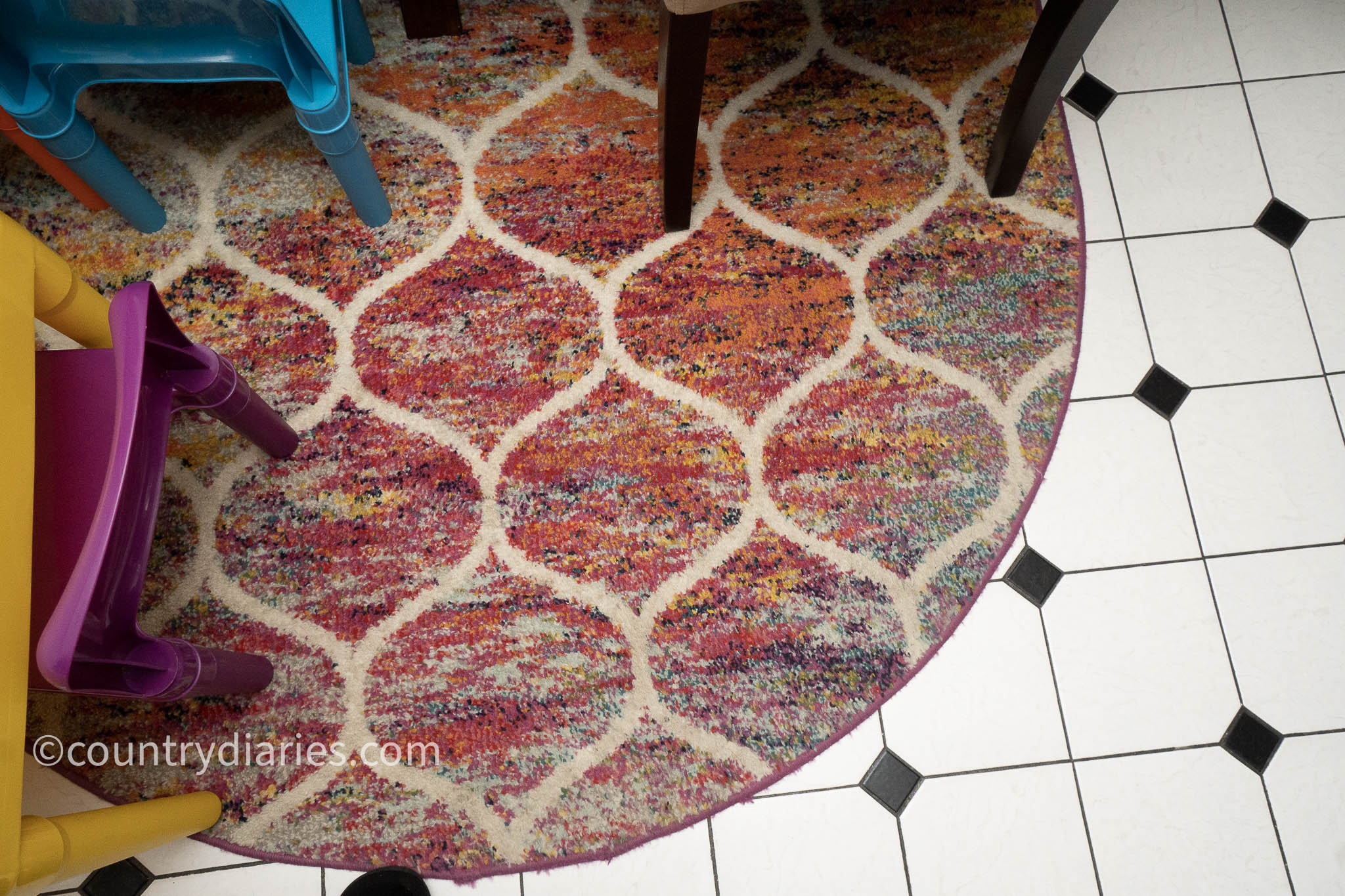 carpet on kitchen floor